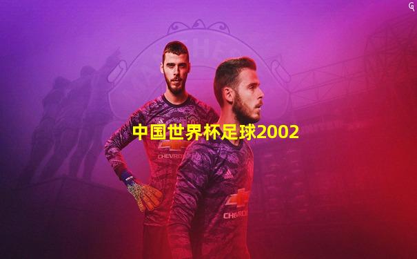 中国世界杯足球2002