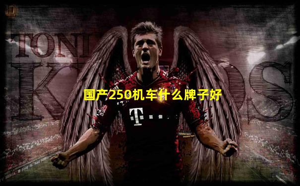 国产250机车什么牌子好