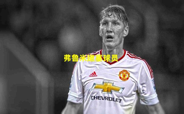 弗鲁米嫩塞球员