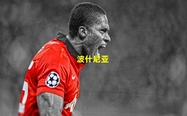 波什尼亚