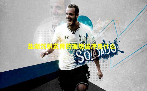 盐湖沉积发育的理想层序是什么