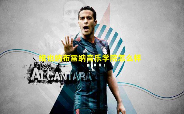 维也纳布雷纳音乐学院怎么样
