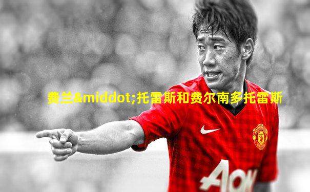费兰·托雷斯和费尔南多托雷斯