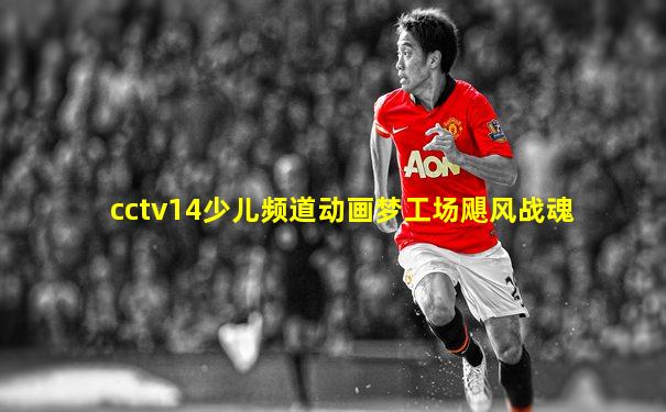 cctv14少儿频道动画梦工场飓风战魂
