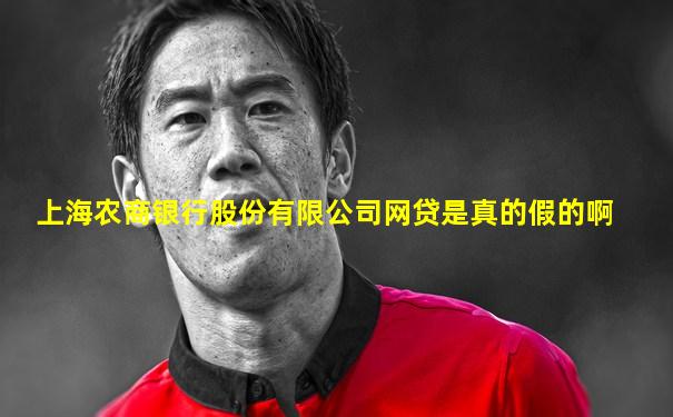 上海农商银行股份有限公司网贷是真的假的啊