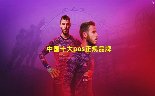 中国十大pos正规品牌
