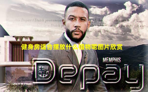 健身房适合摆放什么植物呢图片欣赏