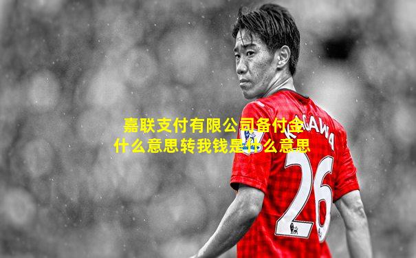 嘉联支付有限公司备付金什么意思转我钱是什么意思
