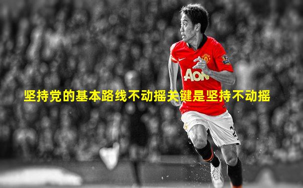 坚持党的基本路线不动摇关键是坚持不动摇