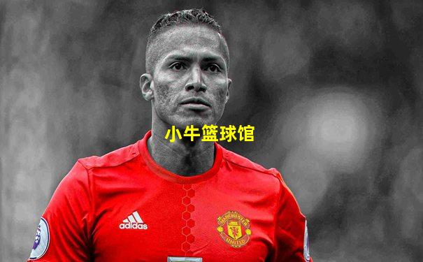 小牛篮球馆