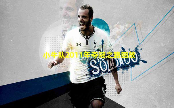小牛队2011年夺冠之路回放