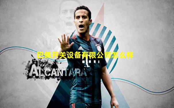 巴佩开关设备有限公司怎么样