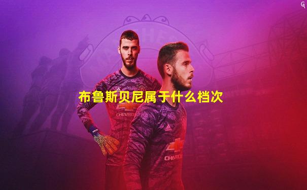 布鲁斯贝尼属于什么档次