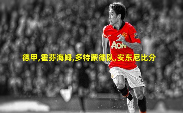 德甲,霍芬海姆,多特蒙德队,安东尼比分