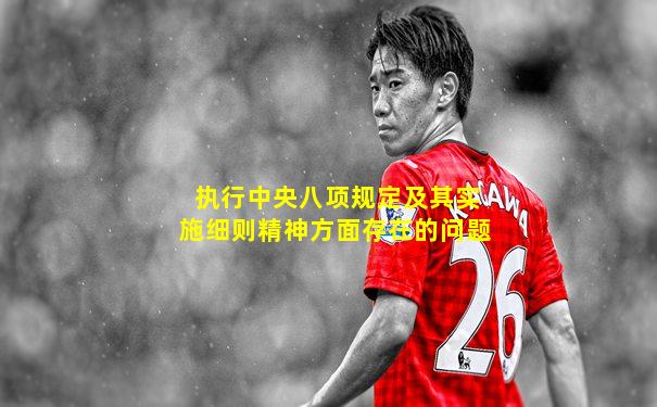 执行中央八项规定及其实施细则精神方面存在的问题