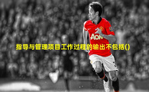 指导与管理项目工作过程的输出不包括()