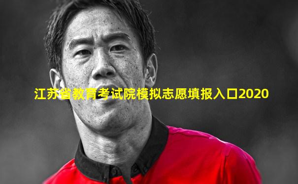 江苏省教育考试院模拟志愿填报入口2020