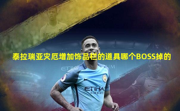 泰拉瑞亚灾厄增加饰品栏的道具哪个BOSS掉的