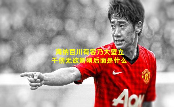 海纳百川有容乃大壁立千仞无欲则刚后面是什么