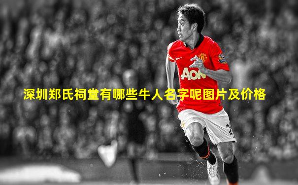 深圳郑氏祠堂有哪些牛人名字呢图片及价格