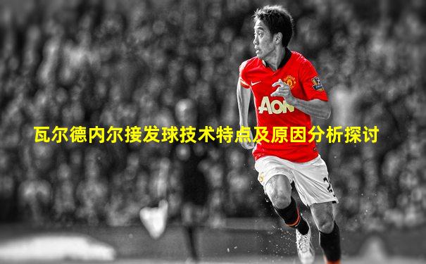 瓦尔德内尔接发球技术特点及原因分析探讨