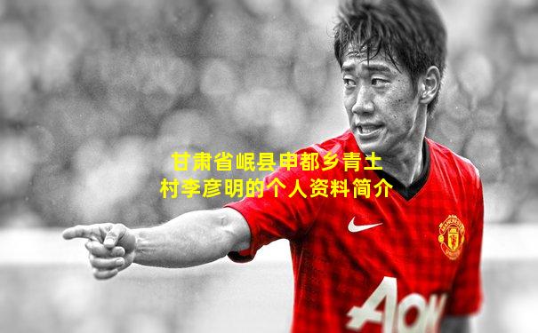 甘肃省岷县申都乡青土村李彦明的个人资料简介