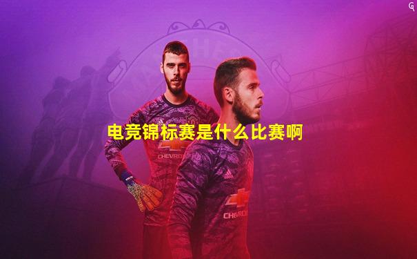 电竞锦标赛是什么比赛啊