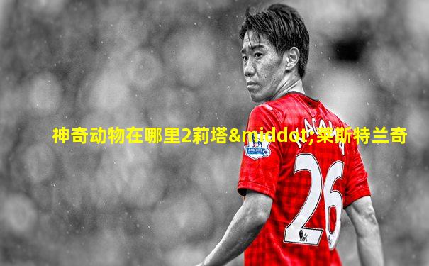 神奇动物在哪里2莉塔·莱斯特兰奇