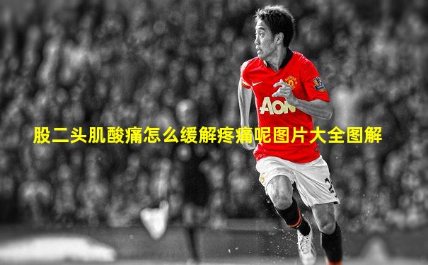 股二头肌酸痛怎么缓解疼痛呢图片大全图解