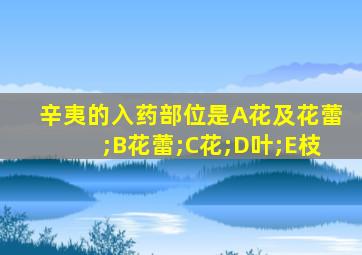 辛夷的入药部位是A花及花蕾;B花蕾;C花;D叶;E枝